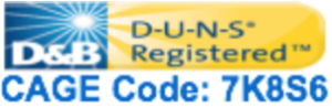 lasorsa associates duns cage code