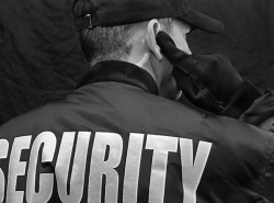 Event Security 101: Tips & Techniques to Increase Security & Safety