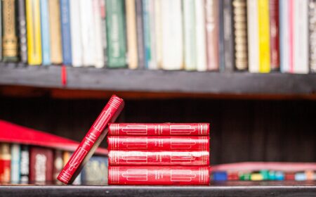 pexels-felipe-prieto-isla-770146760-18847268