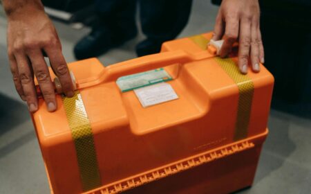 pexels-mikhail-nilov-27914826