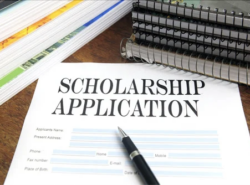 Training Scholarship Application Form